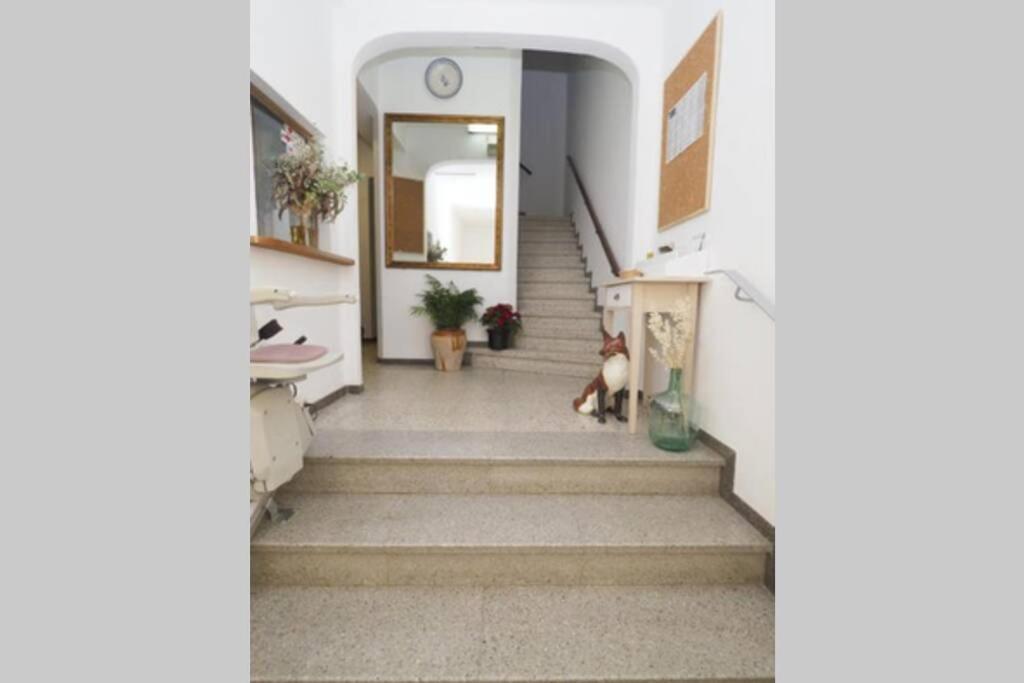 Apartaments Sa Calm La Coma Sant Hilari Sacalm Εξωτερικό φωτογραφία